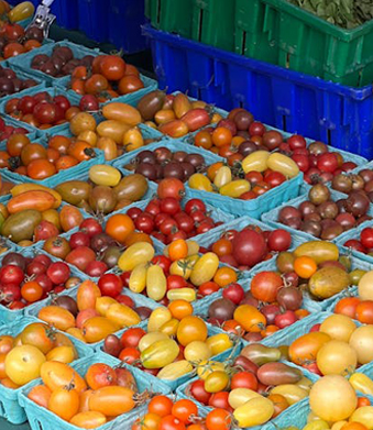 Пластиковый поднос для еды